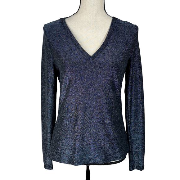 WHBM Small Sparkle Knit Top Long Sleeve Stretch V-Neck Slate Metallic Blue New - Picture 1 of 8